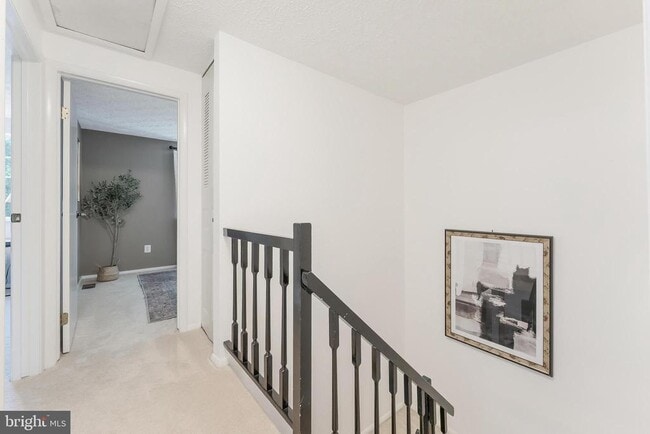 Building Photo - 2903 Bridgehampton Ct
