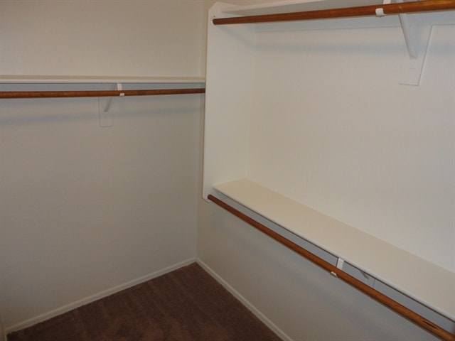 Building Photo - 3537 W Paseo Way