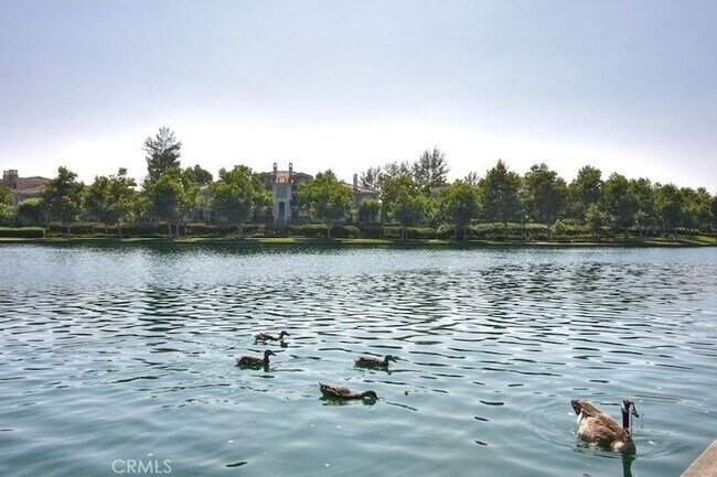 Building Photo - 205 Montana Del Lago Dr