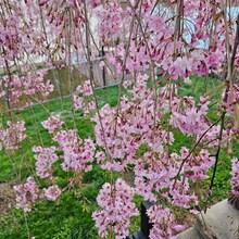 Building Photo - 8 Broad St