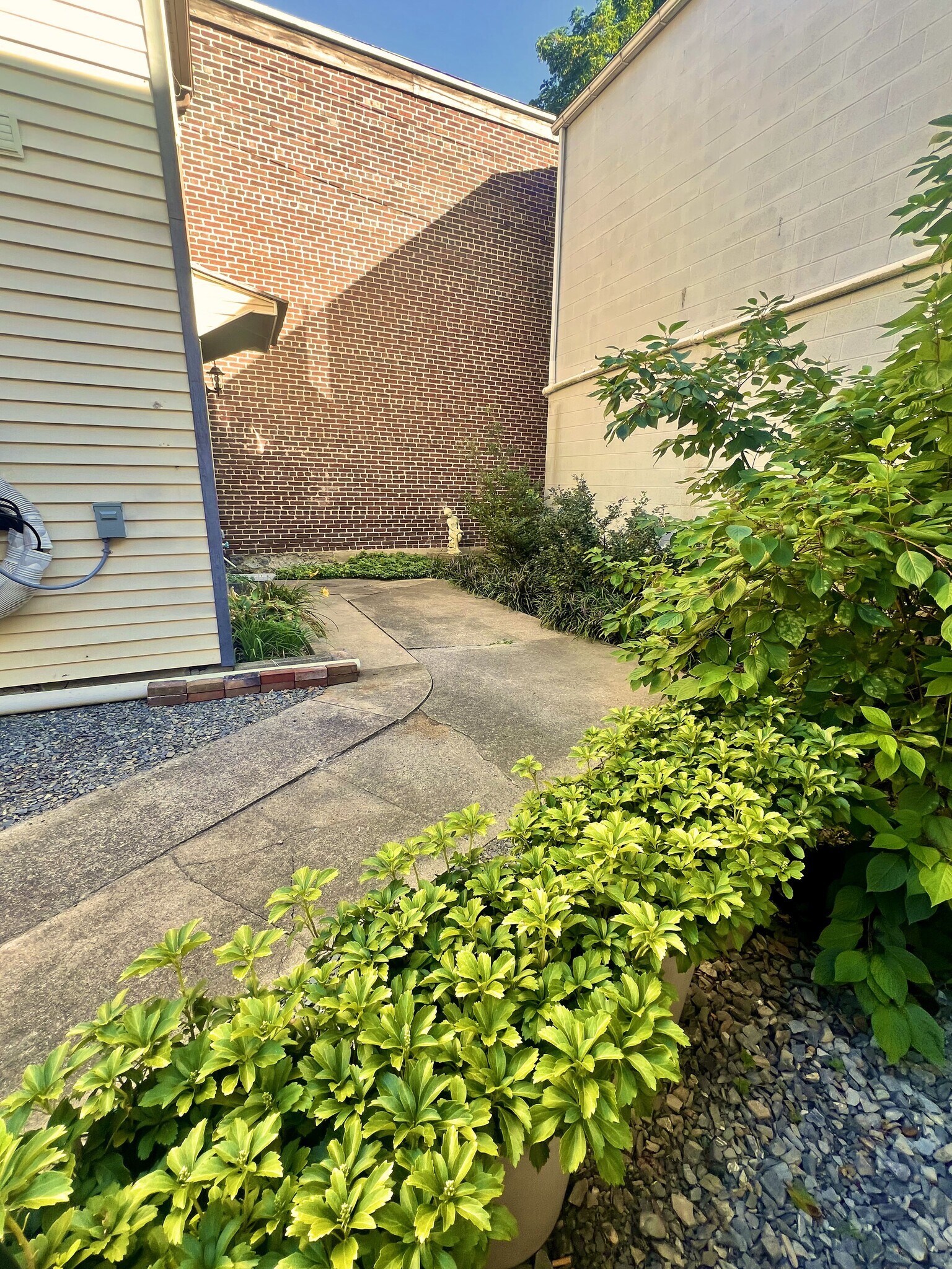 sweet charming gardens in your courtyard back here - 352 S Main St