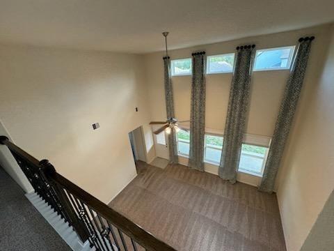 Building Photo - 3036 Tulip Poplar Ct