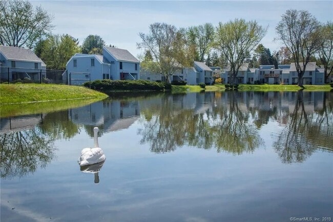 Building Photo - 31 Cinnamon Spring