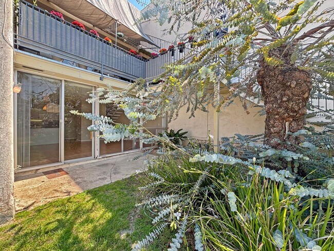 Building Photo - Charming 1BD/1BA Condo in Mission Valley W...
