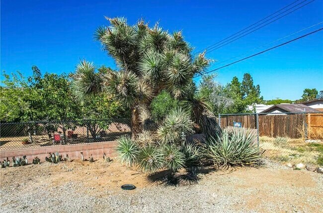 Building Photo - 7625 Borrego Trl