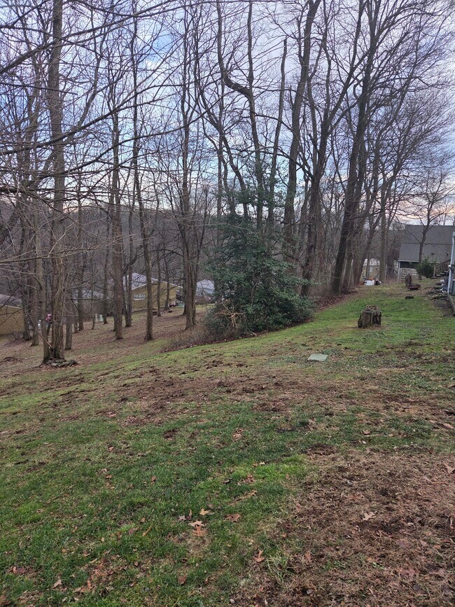 Building Photo - 524 Mercer Rd