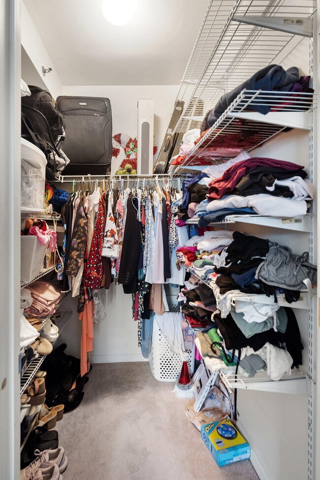 Building Photo - 4 Constellation Pl