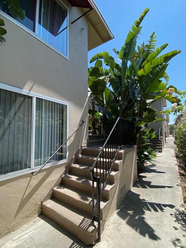 MAIN WALKWAY - 3545 Jasmine Ave