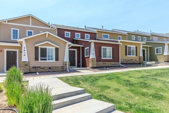 Primary Photo - Lion Village Student Housing