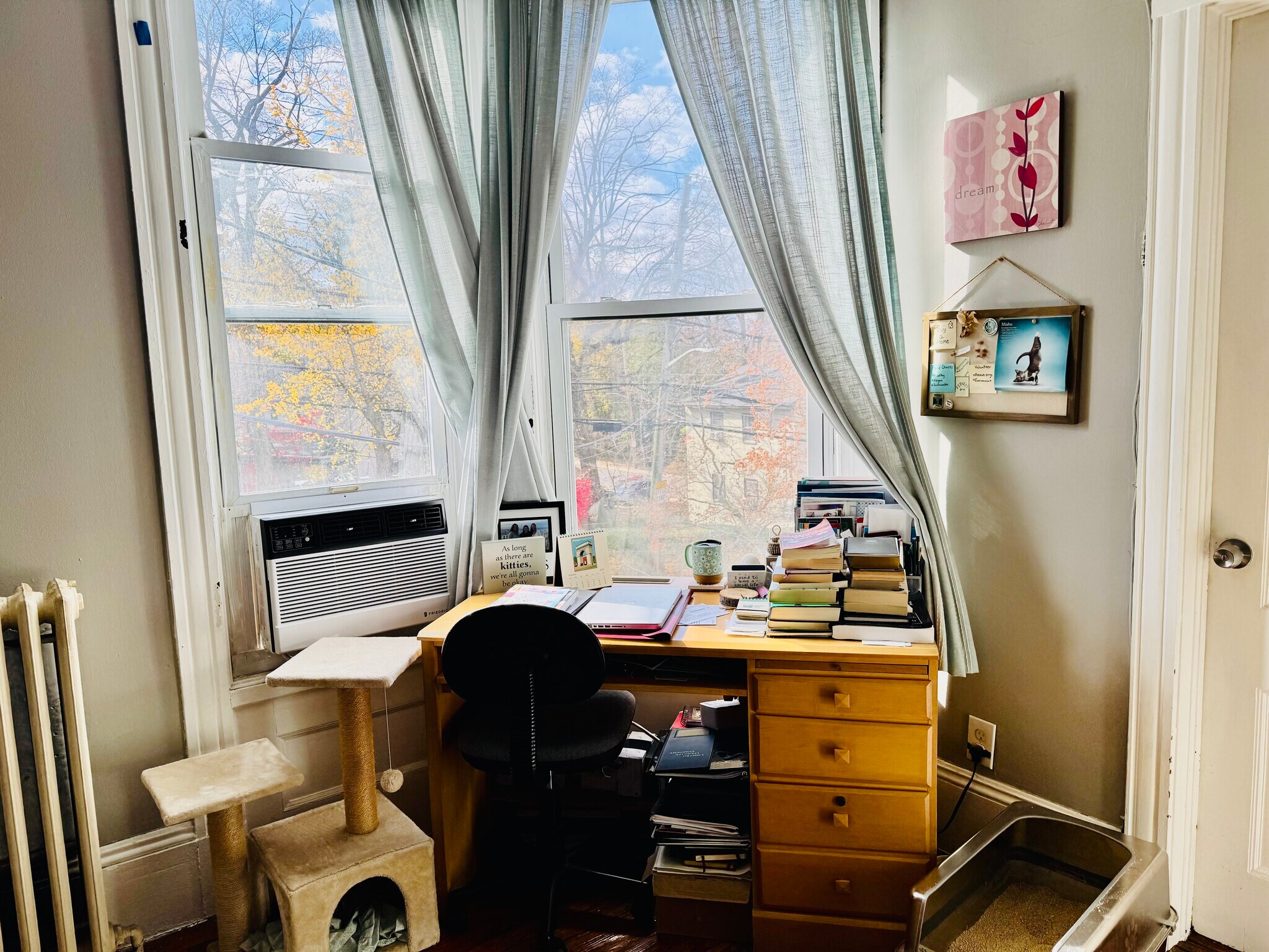 Building Photo - 56 Windle Park