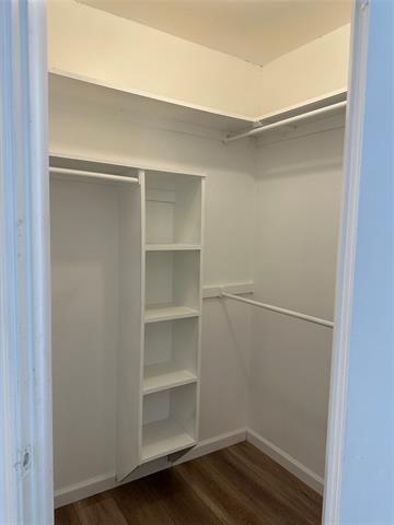 Building Photo - 3709 Highgate Ln