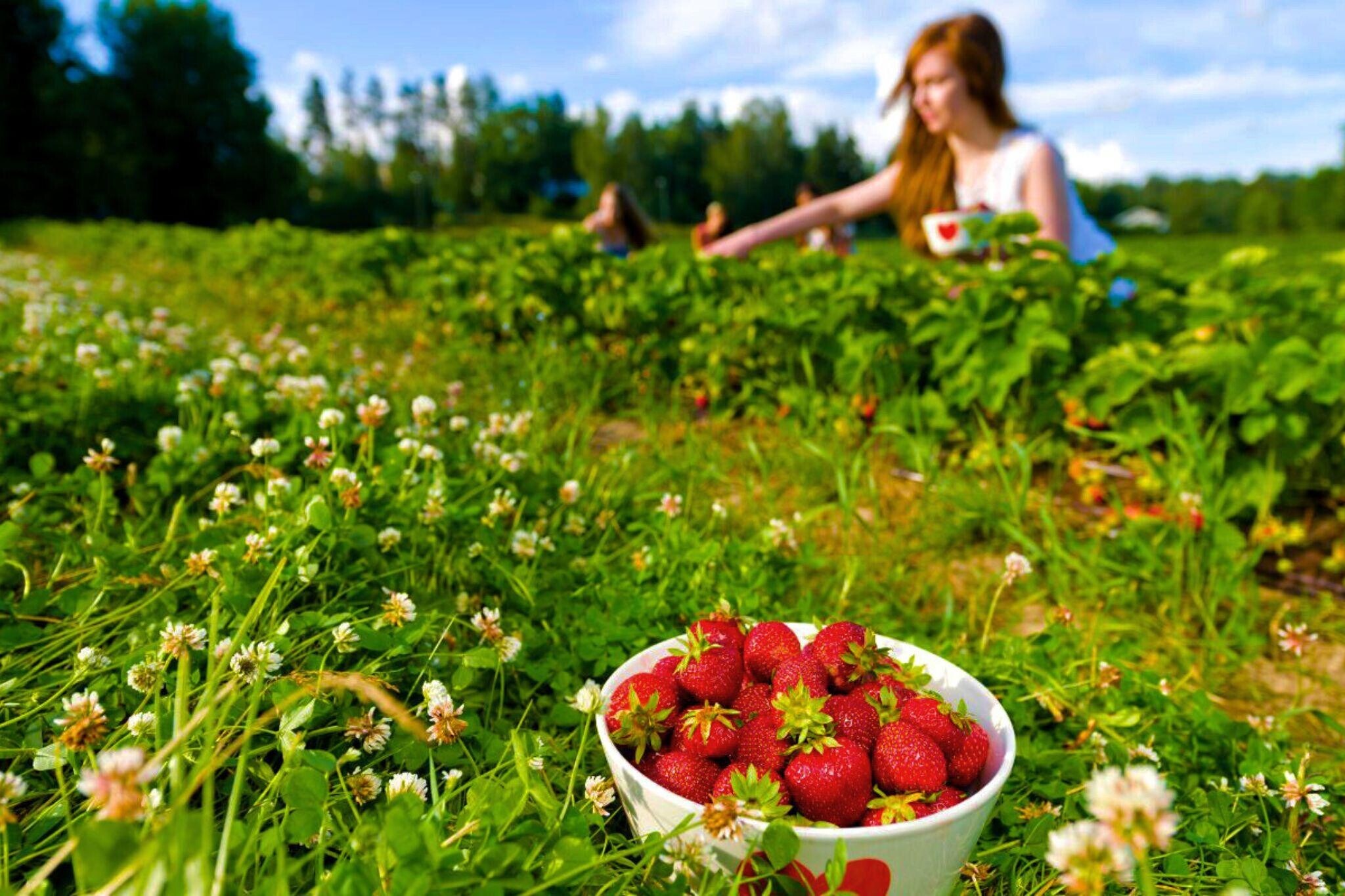 Building Photo - 1427 Tristar Dr