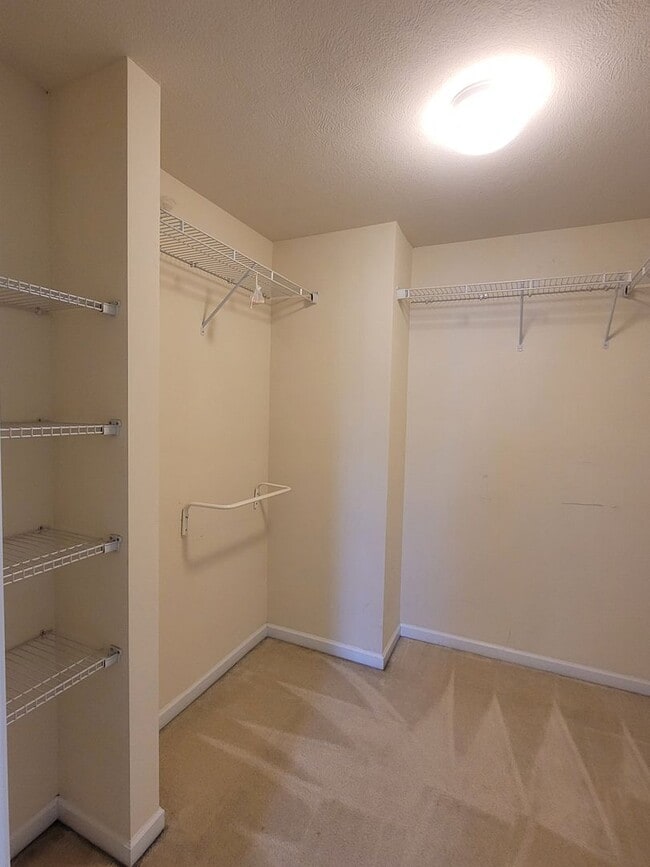 Building Photo - Beautiful 3 Bedroom in Carnegie