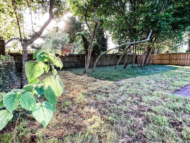 Building Photo - Wonderful 3/1 Home In Audubon Park! Must See!
