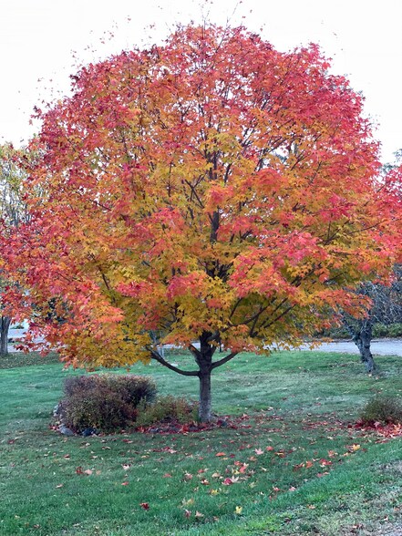 Building Photo - 74 Battle Ave