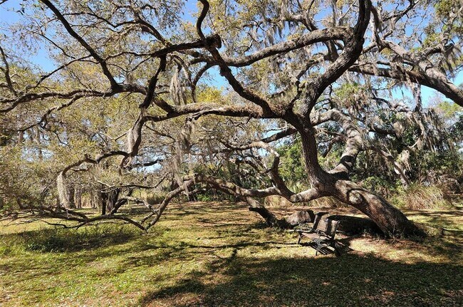 Building Photo - 2746 Orchid Oaks Dr