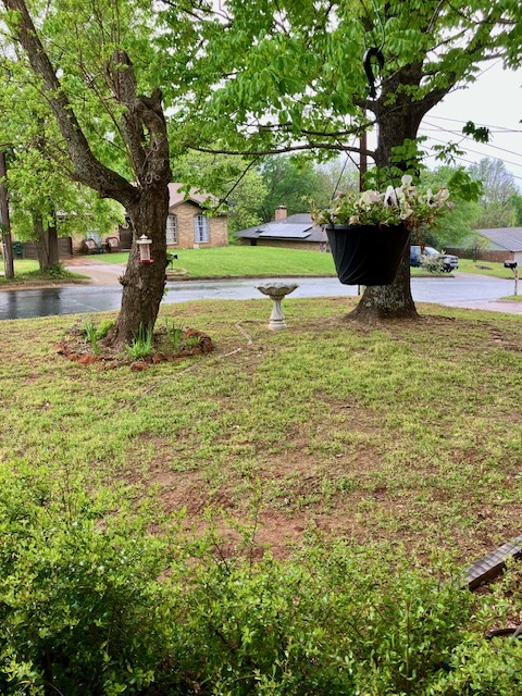 Building Photo - 1511 Milam Dr