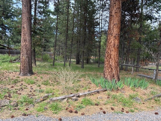 Building Photo - Cozy Cabin Close to Sunriver