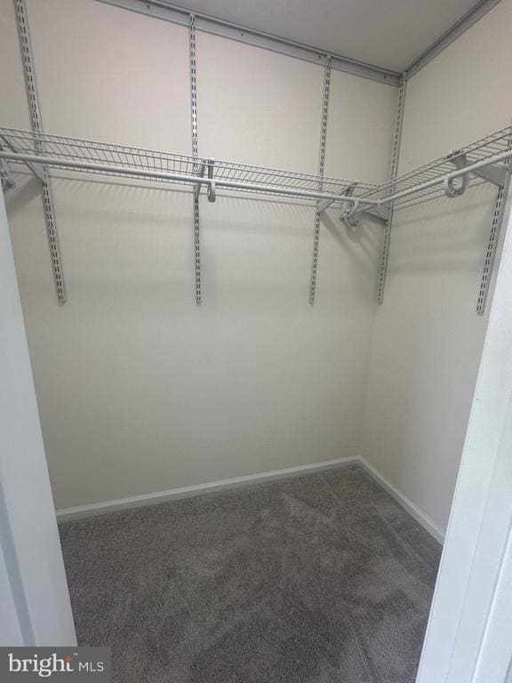 Building Photo - 1637 N Van Dorn St