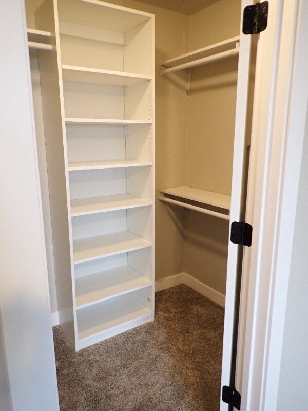 Building Photo - 1796-1798 Garroman Dr