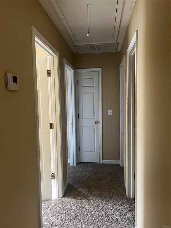 Building Photo - 801 Cottage Ln