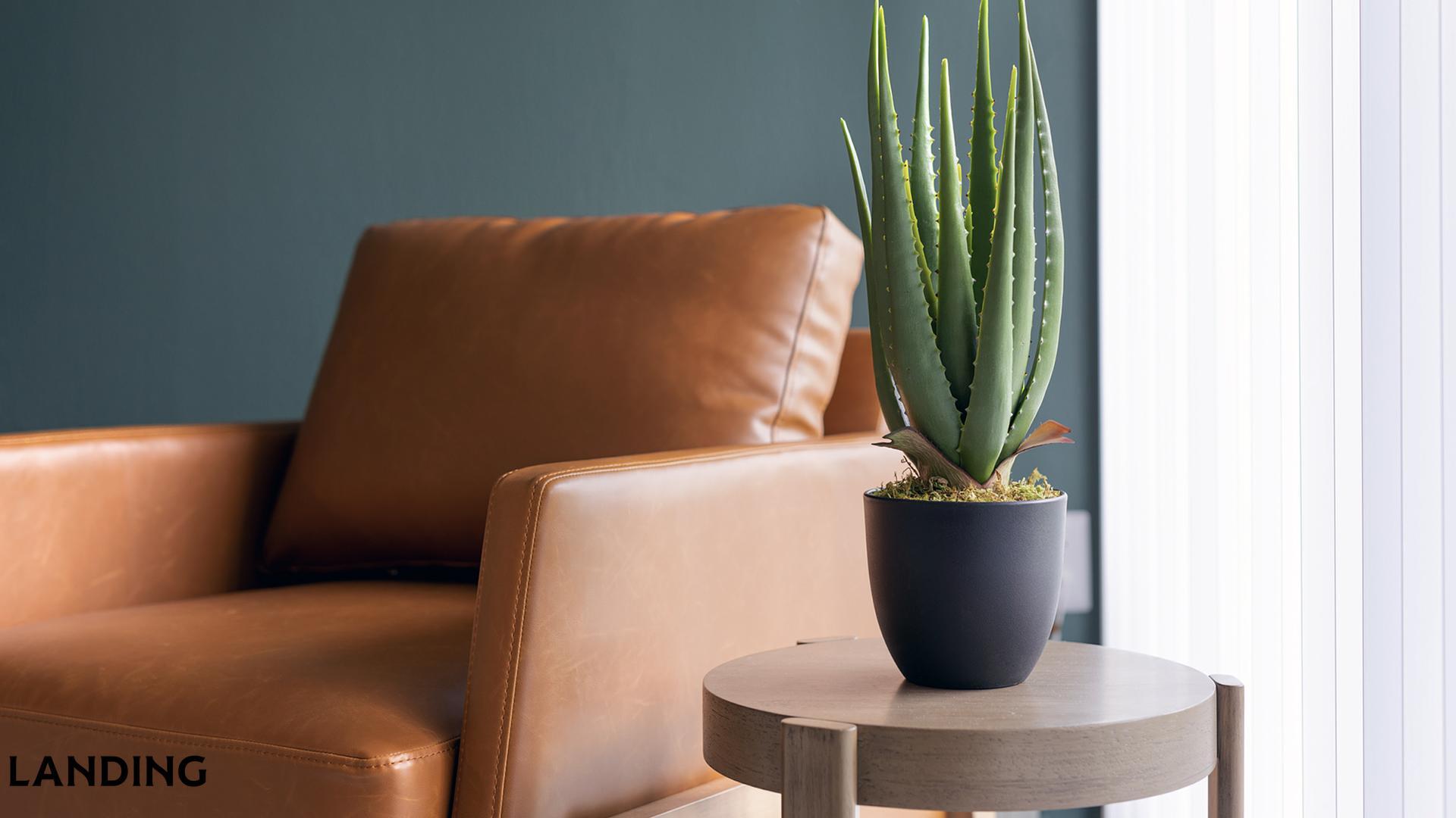 Building Photo - 100 Waterstone Park Cir