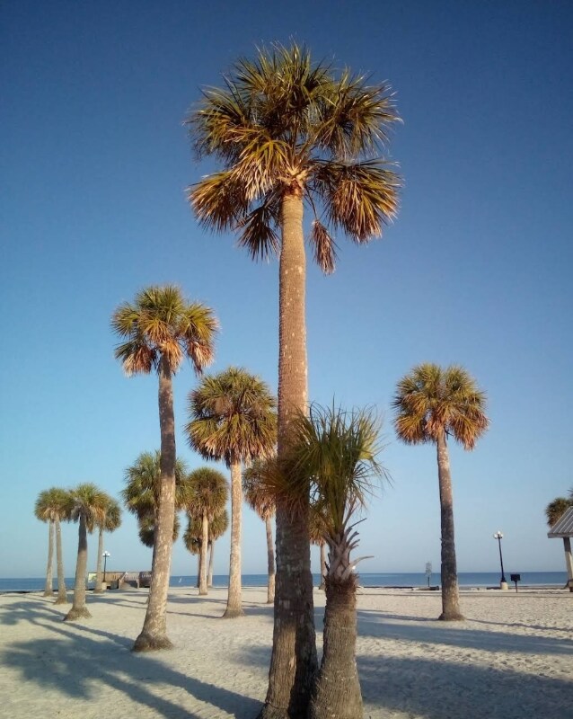 Building Photo - 3936 Bramblewood Loop