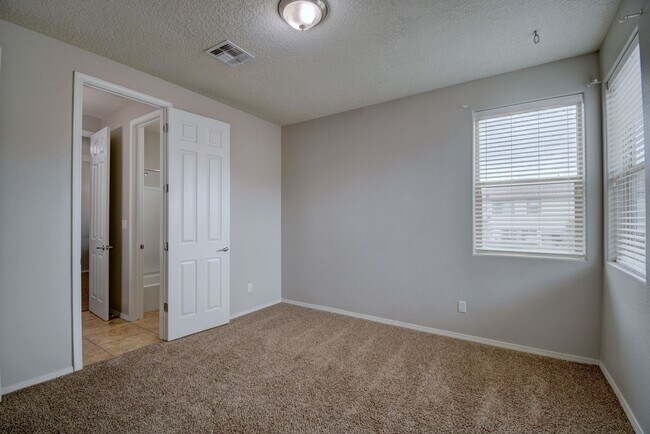 Building Photo - Beautiful Loma Colorado Home.