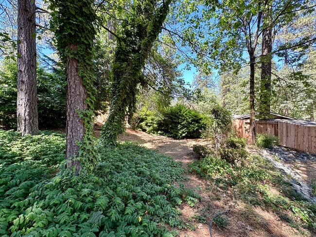 Building Photo - 3 Bedroom 2 Bathroom House in Desirable Al...