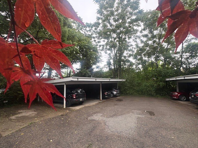 Carport - 2819 Erie Ave