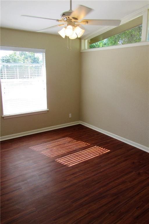 Building Photo - 2710 St Edwards Cir