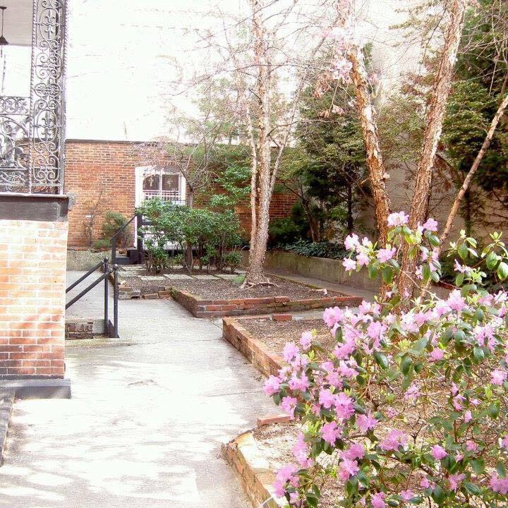 The Courtyard in bloom - 1901 E Lombard St