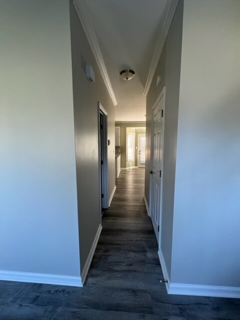 Building Photo - 3514 Chance Rd