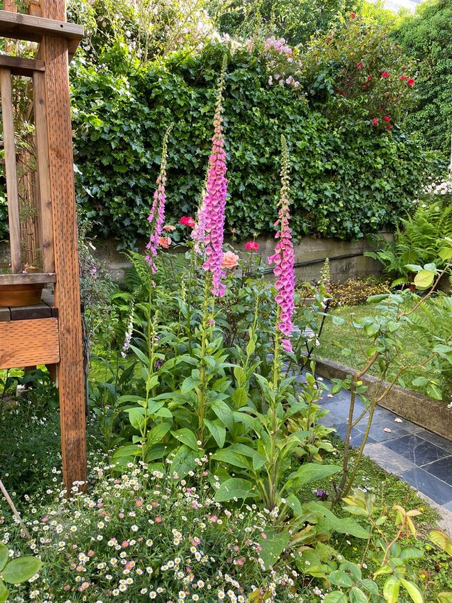 Building Photo - Stunning Edwardian Flat with a Backyard