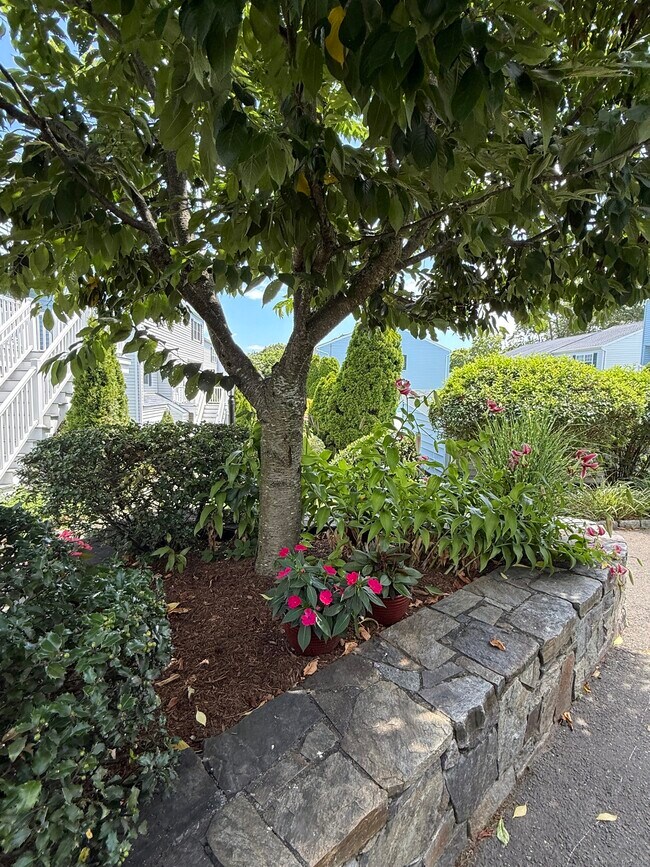 Building Photo - 14 1/2 Fairview Ave