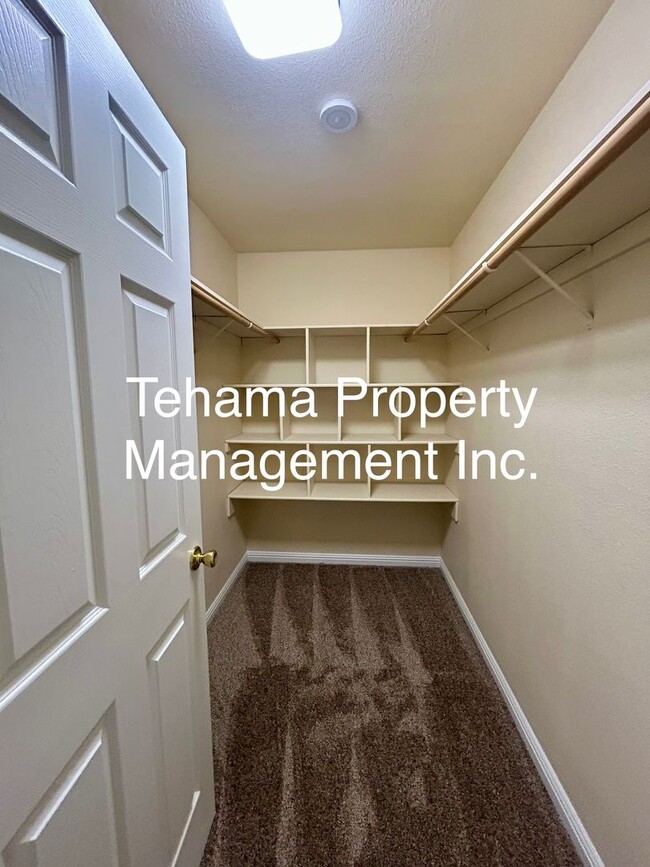Building Photo - Newly remodeled 4 bedroom 2 bathroom