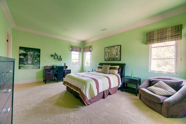 Building Photo - 16889 Camino Lago De Cristal