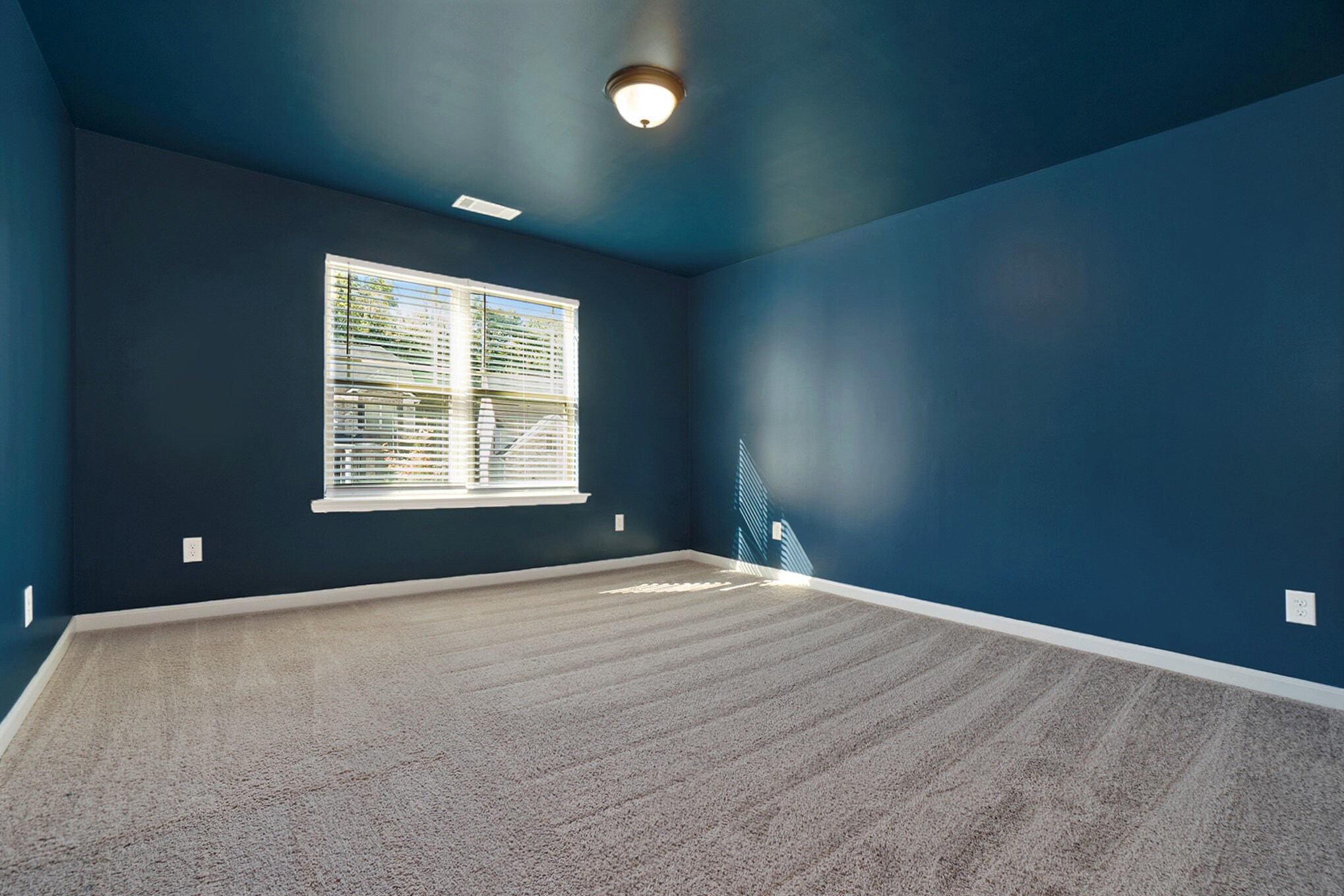 Building Photo - 3810 Brookhollow Dr