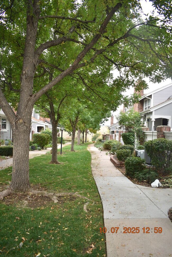 Building Photo - Updated 3 Bed Littleton Townhome