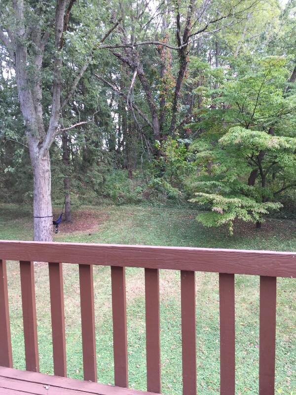 Building Photo - 500 S Depeyster St