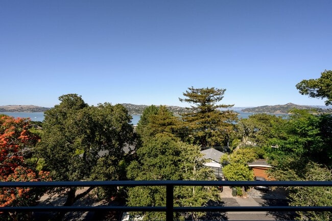 Building Photo - Gorgeous Sausalito Grand Craftsman Home w/...