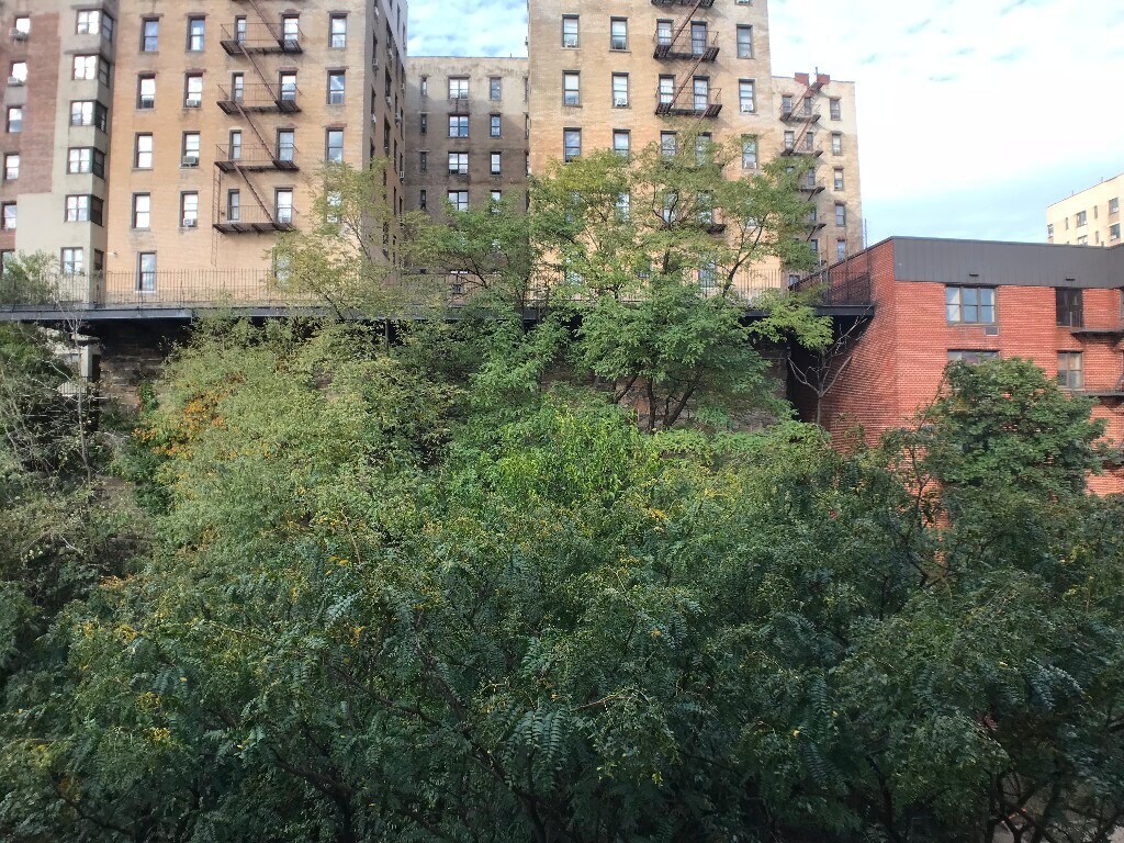 Building Photo - 50 Overlook Terrace