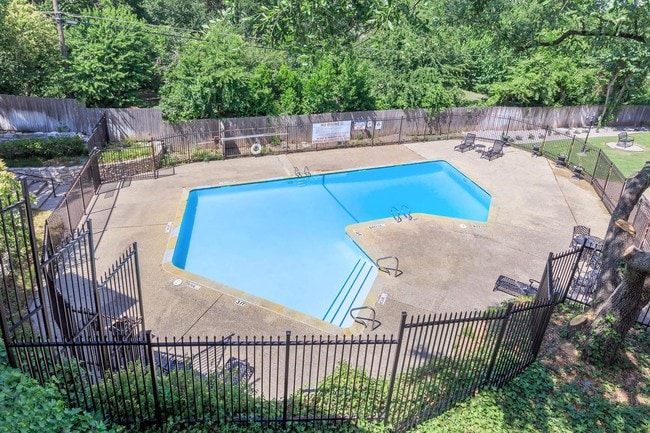 Sparkling swimming pool surrounded by lush greenery and quiet spaces - Renaissance Gardens Apartments