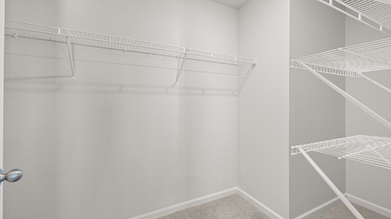 Building Photo - 299 Wedge Cir