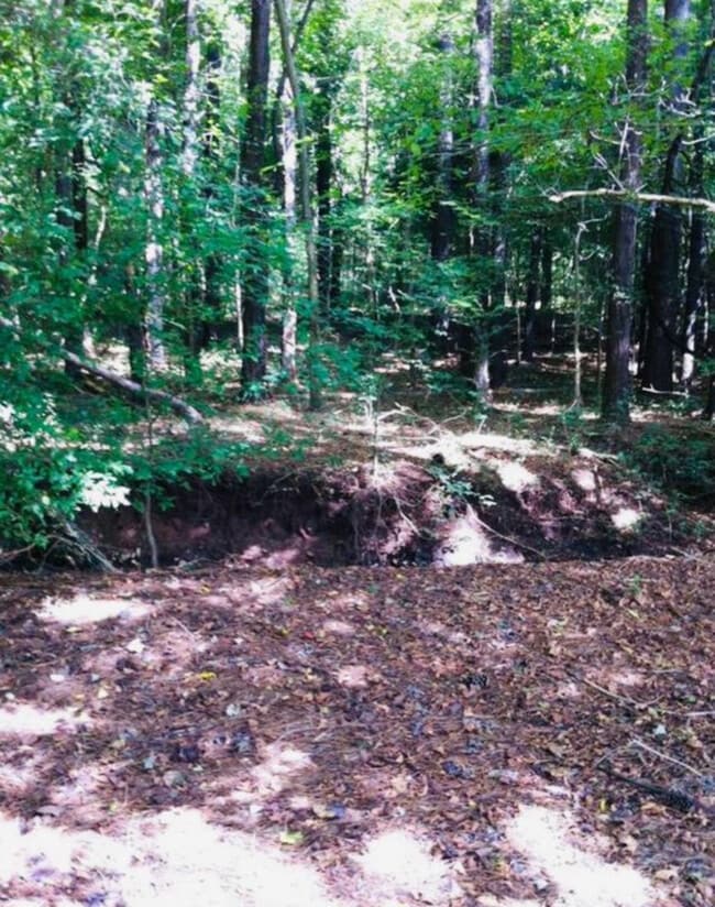 Building Photo - 5847 Misty Forest Pl NW