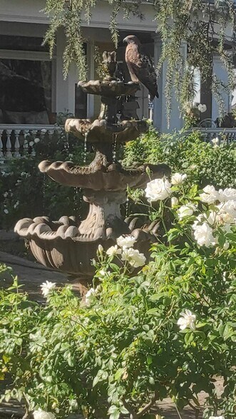 Building Photo - 2374 Mission Inn Ave