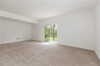 Building Photo - 113 Pumpkin Patch Ln