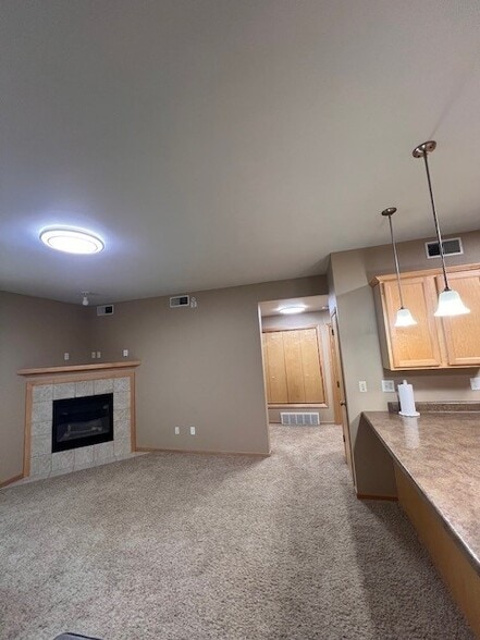 Fireplace - 1245 Alexander Way