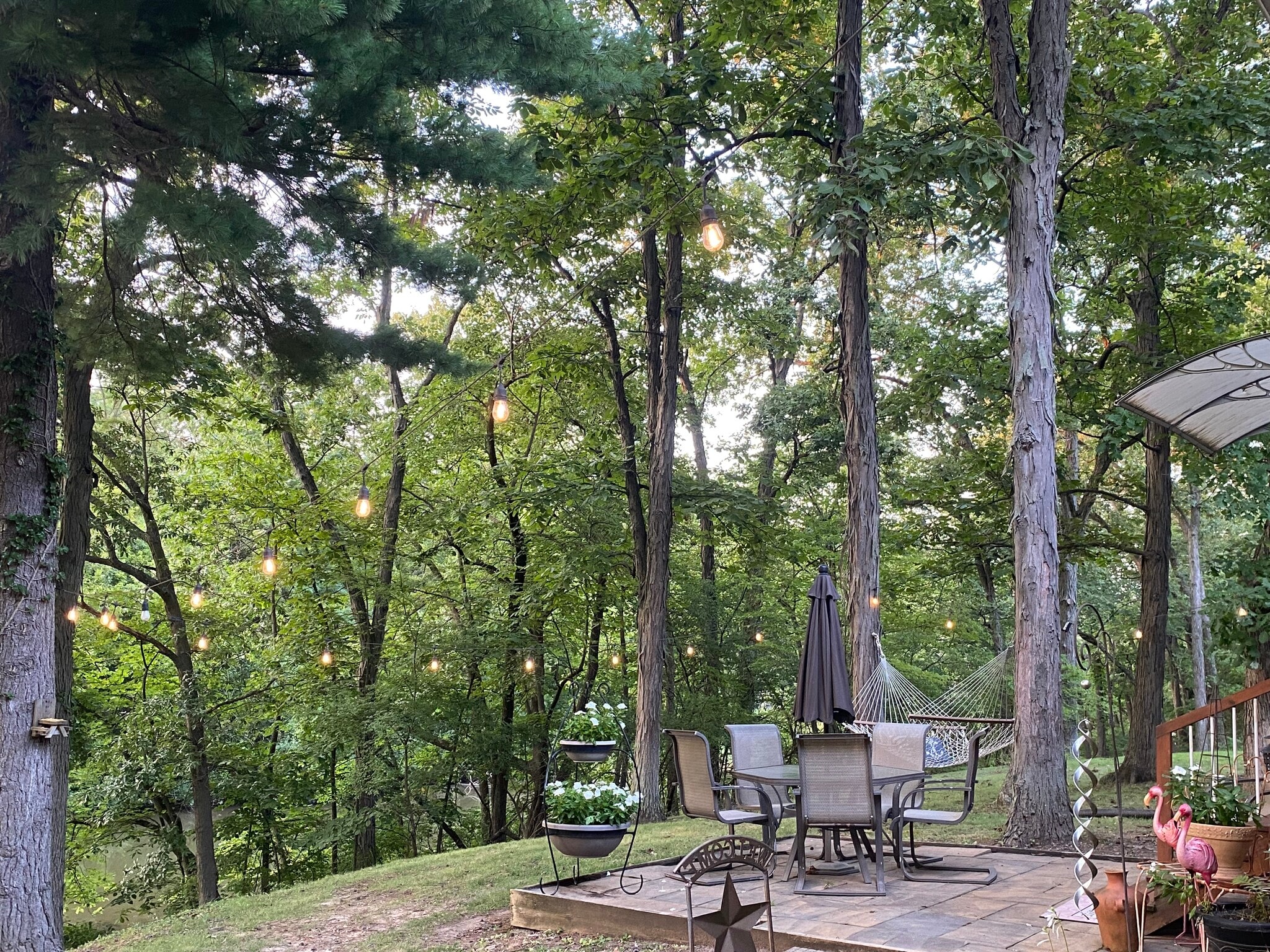 Building Photo - 57 West Hazel Dell Ln