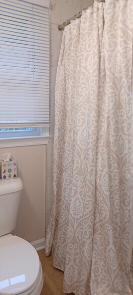 renovated bathrooms with tiled showers - 705 Elsom St